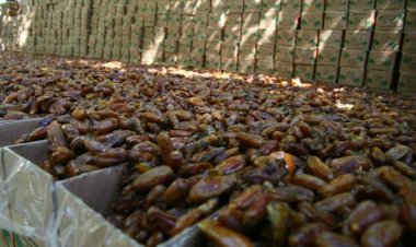 إيران تحظر تصدير 3 منتجات زراعية خلال رمضان لتنظيم السوق