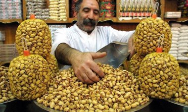 سؤول إيراني: 10% فقط من محصول الفستق يتم استهلاكه في الداخل