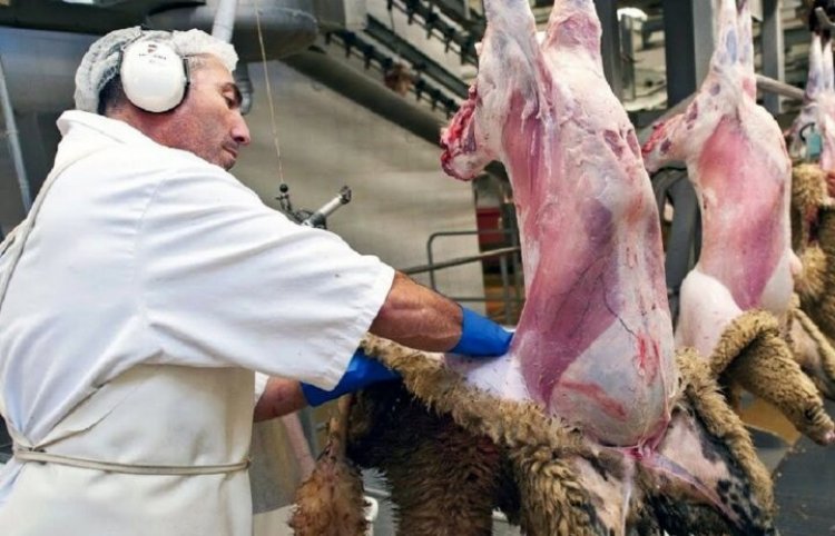 وزارة الجها،د الزراعي : 90% من احتياجات اللحوم الحمراء  في ايران تُنتج محلياً