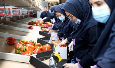 منتجات إيران الزراعية تصدر إلى 80 دولة حول العالم