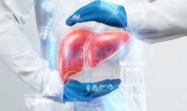 فريق من الباحثين الايرانيين  يطور نموذجًا حاسوبيًا جديدًا قادرًا على تشخيص أمراض الكبد بسرعة ودقّة تفوق 97%.