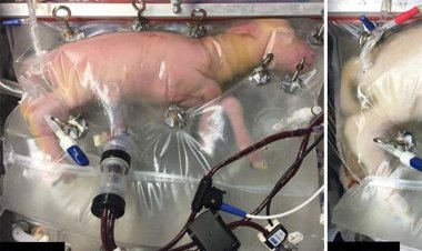 علماء ايرانيون ينجحون في صنع رحم اصطناعي عبر استخدام تقنية النانو في معهد أبحاث علوم الإنجاب في يزد