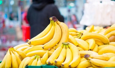 إيران تراهن على «مدينة الفواكه الاستوائية في هرمز كان» لإنهاء استيراد الموز